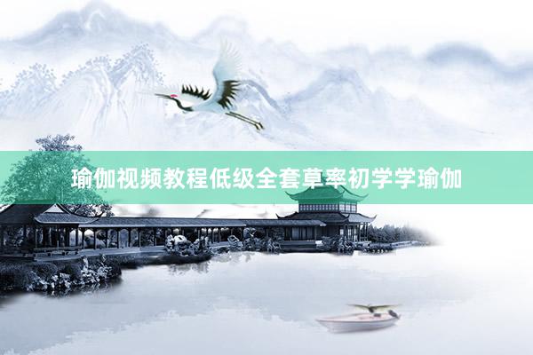 瑜伽视频教程低级全套草率初学学瑜伽